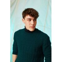 Herrenpullover - MERINO 120 / Modell-20