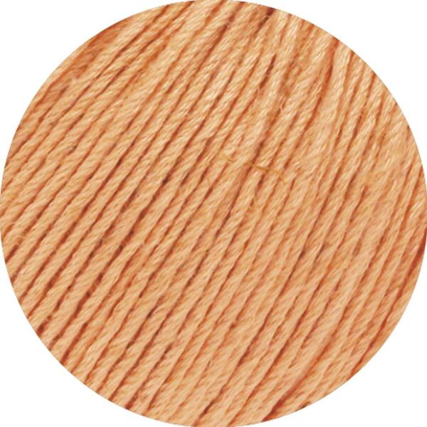 Apricot - 0033