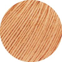 Apricot - 0033