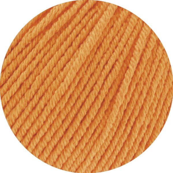 0158 - Apricot