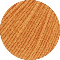 0158 - Apricot