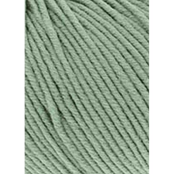 SALBEI - 0091