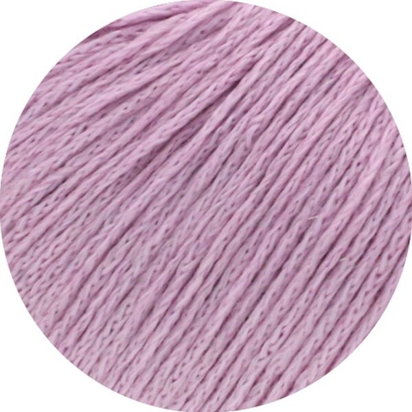 0042 - Orchideenrosa