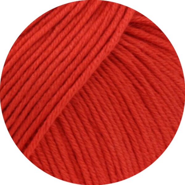 0019 - Rot