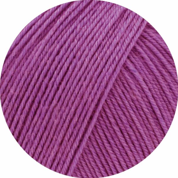 0036 - Fuchsia