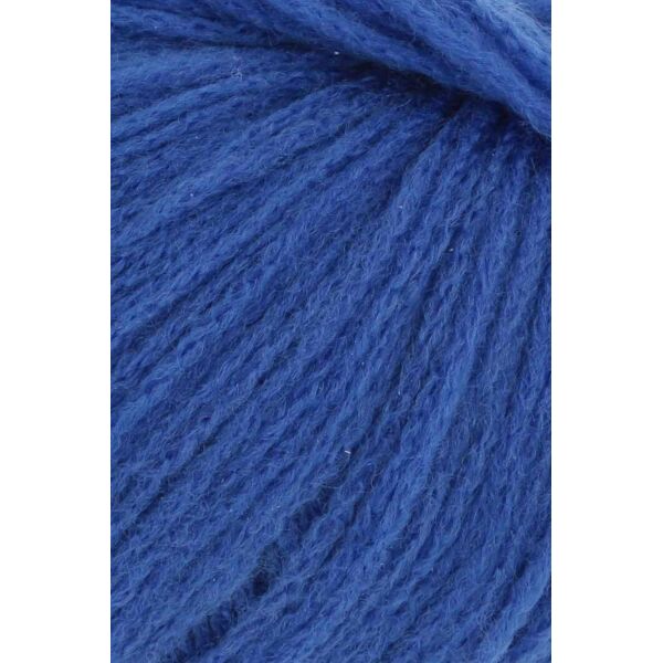 0006 - BLAU