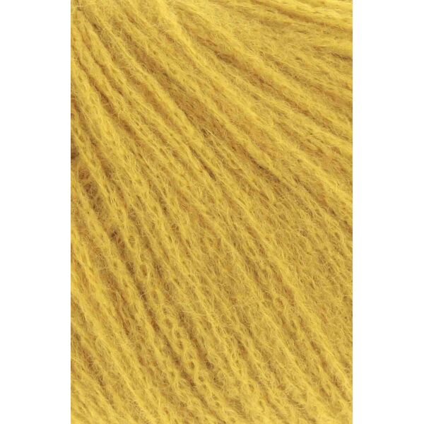 0050 - GOLD