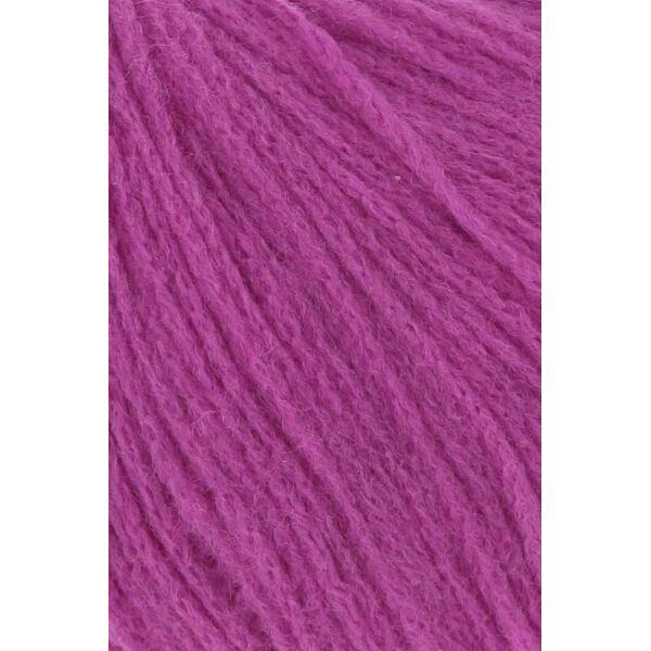 0065 - FUCHSIA