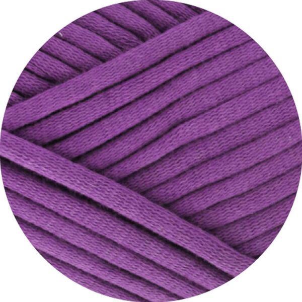 0020 - Viola