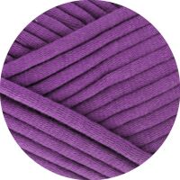 0020 - Viola