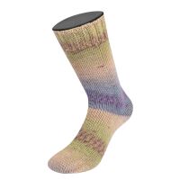 2204 - Kiwi/Beere/Sandbeige/Grau-/Taubenblau/ Rotviolett