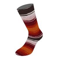 3028 - Dunkelrot/Rosa/Rot/Rost/Silbergrau/Schwarzbraun