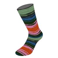 3029 - Blau/Schwarzgrün/Pink/Rost/Resedagrün