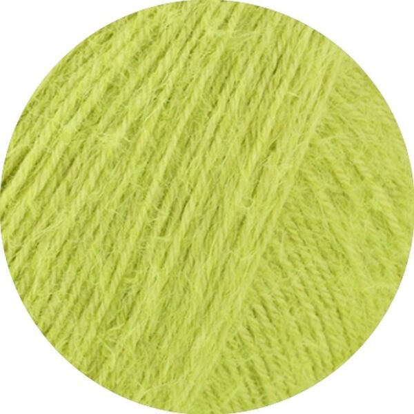 0024 - Limette