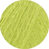 0024 - Limette