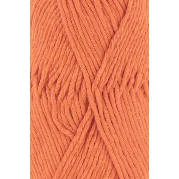 0659 - ORANGE HELL